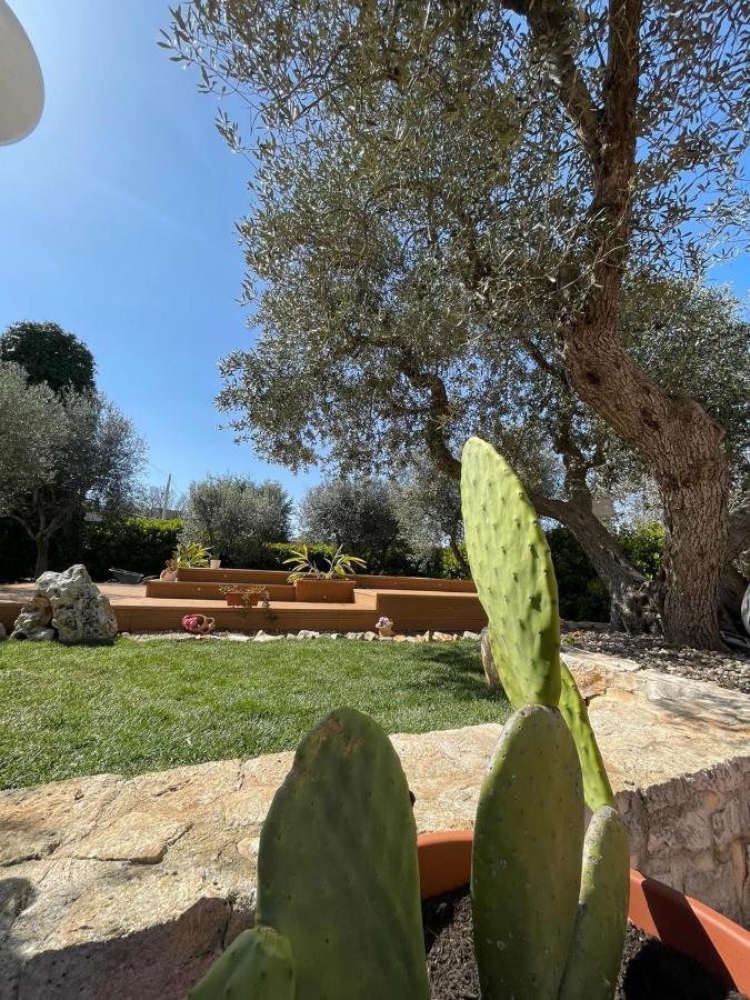 Villa Dama Cisternino Buitenkant foto