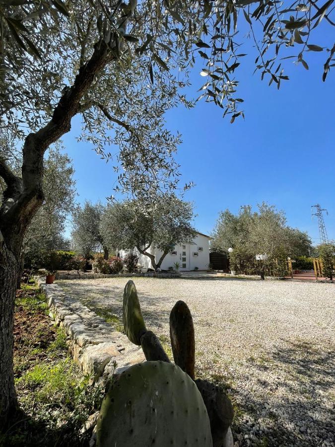 Villa Dama Cisternino Buitenkant foto