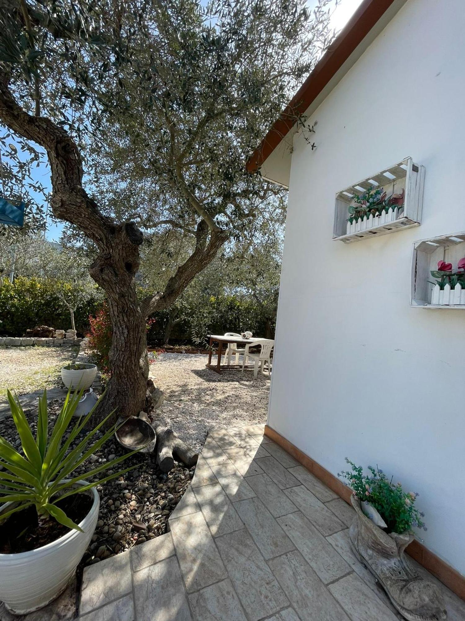 Villa Dama Cisternino Buitenkant foto
